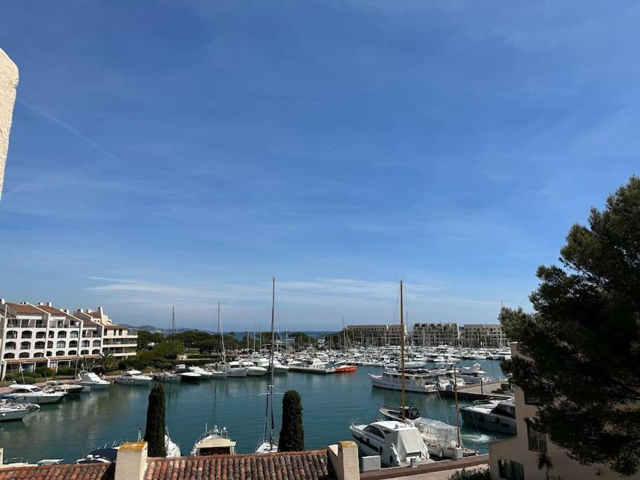 L'atelier Marin Sur Le Port Des Marines * Cogolin